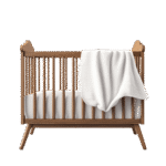 Aenean leo ligula bed